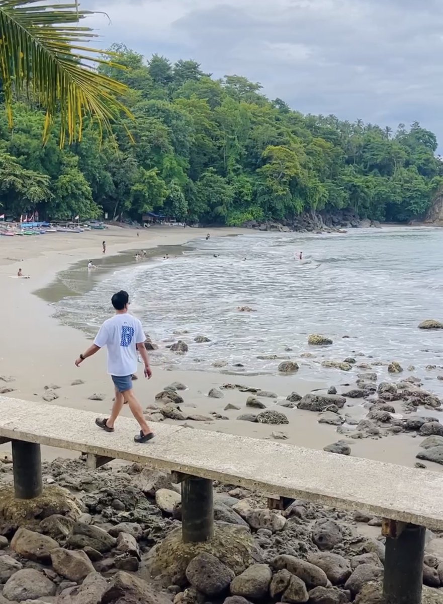 kempinsky tweet media