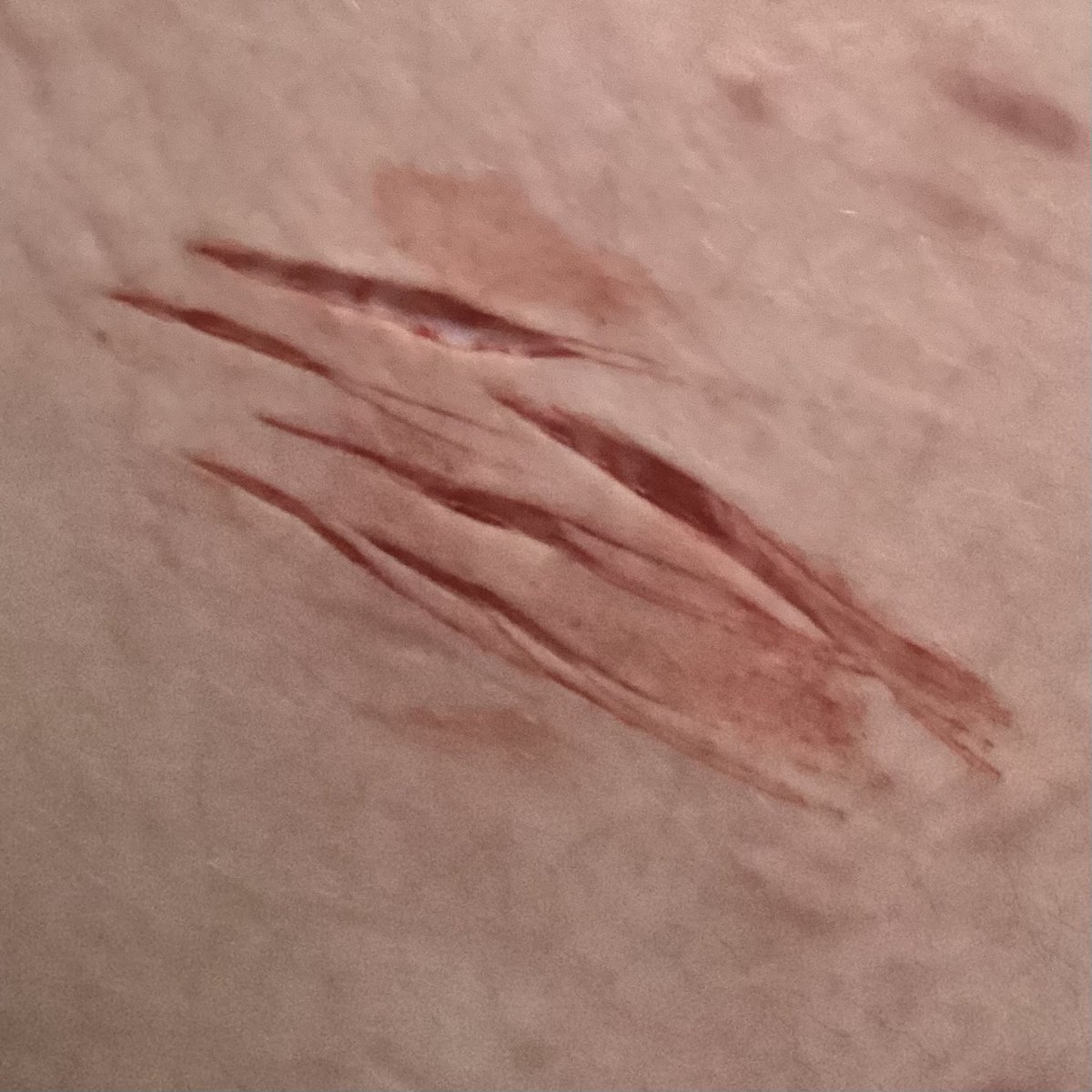 🌈 𝓡agatha of shedtwt !🪽 tweet media