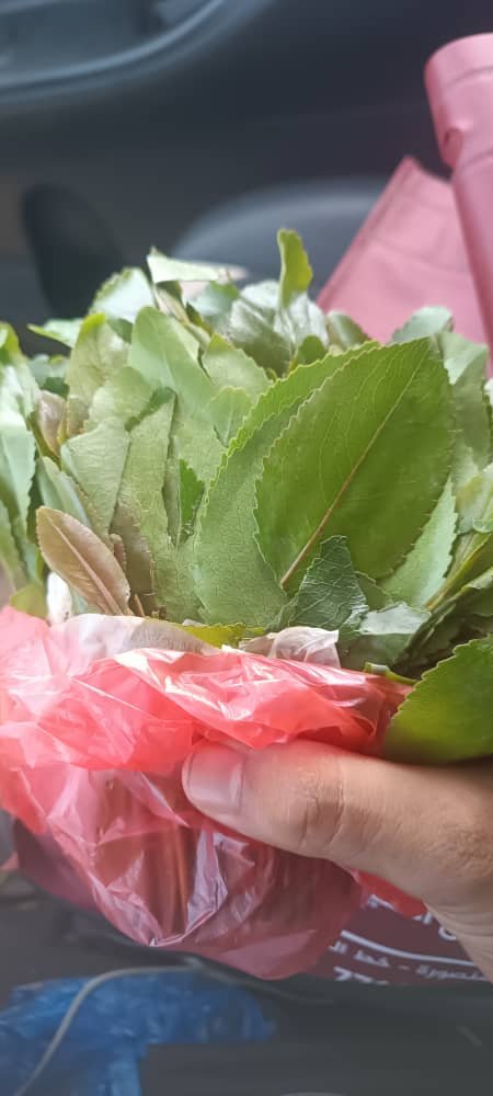 فتحي بن لزرق tweet media