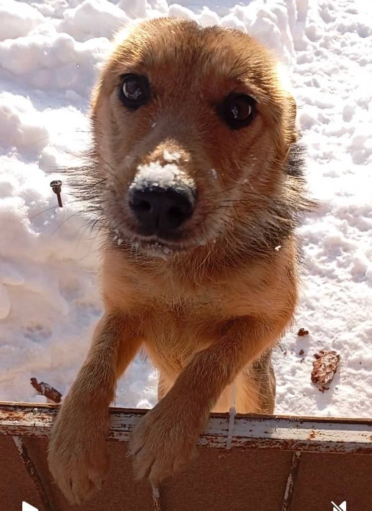 Yarmarka_Dobroty tweet media