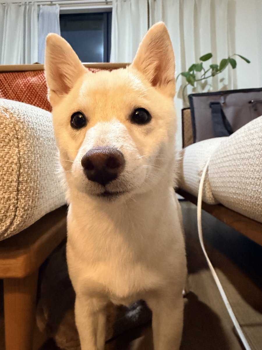 永山哲平 tweet media