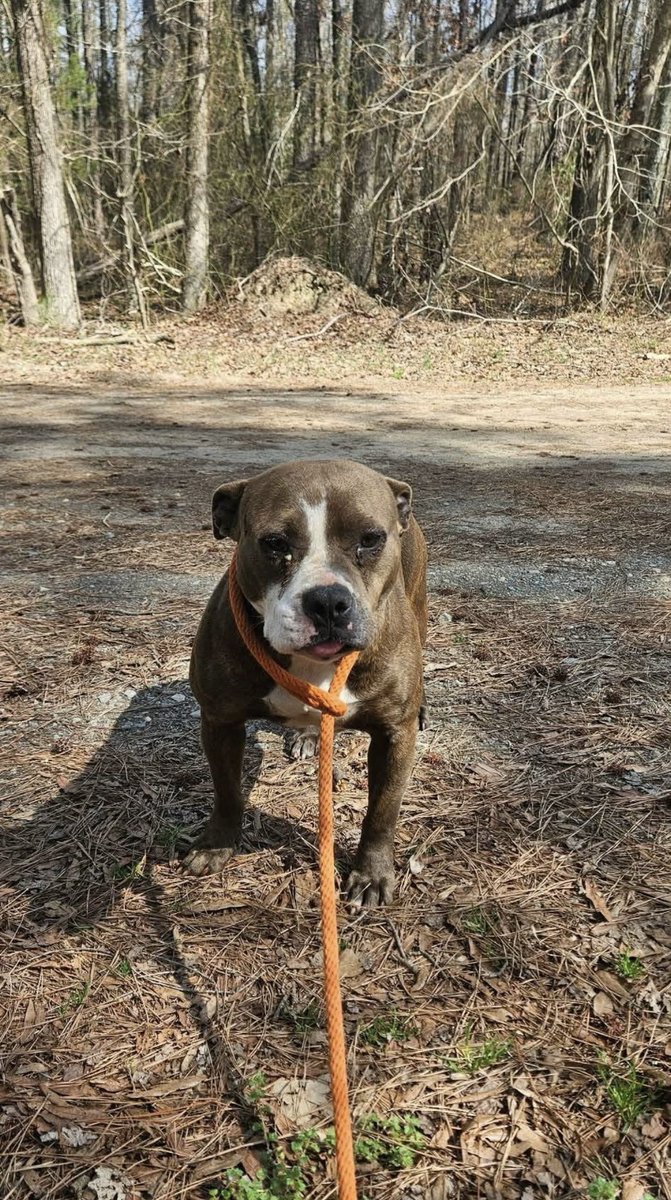 Lola Patolla tweet media