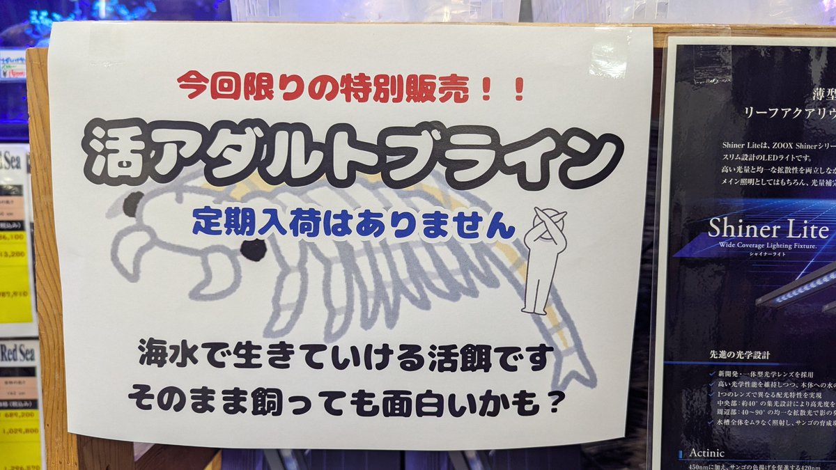マリン@リミックスインター店 tweet media