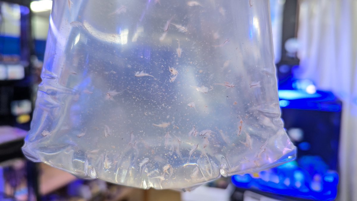 マリン@リミックスインター店 tweet media