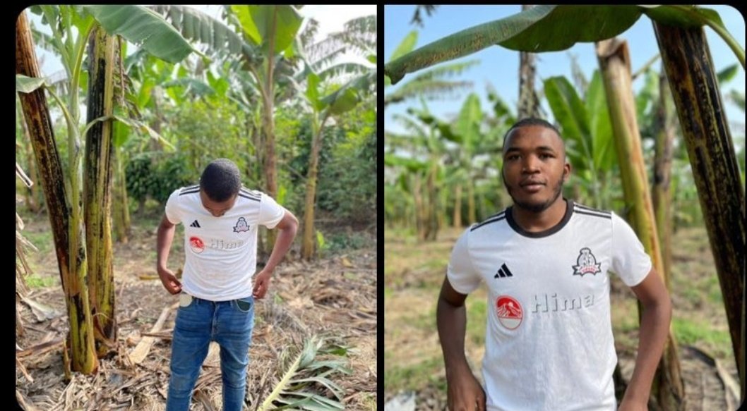 Dasylva Error403🎭♦️Bady tweet media