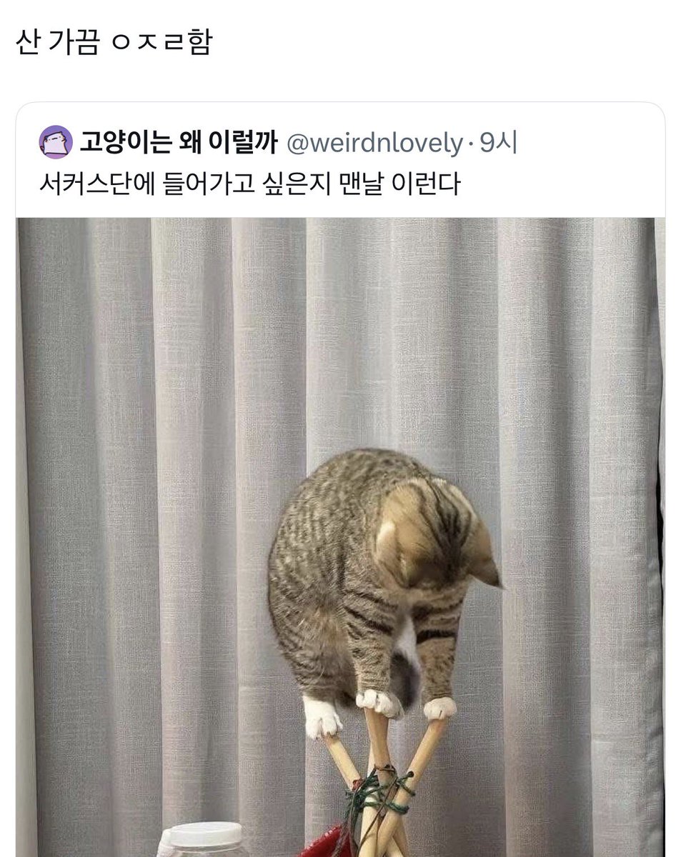 mirukuta1mu's tweet photo. https://t.co/2sWS5TtIZl