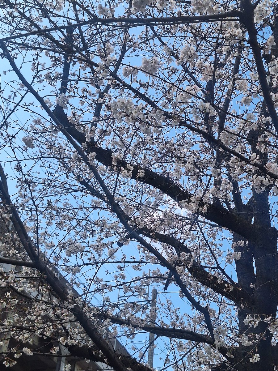 さと423 tweet media