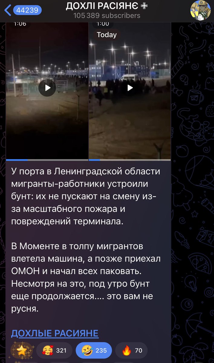 ✙ Albina Fella ✙ 🇺🇦🇫🇷🇬🇧🇮🇹🇪🇸🇸🇪🇫🇮 tweet media