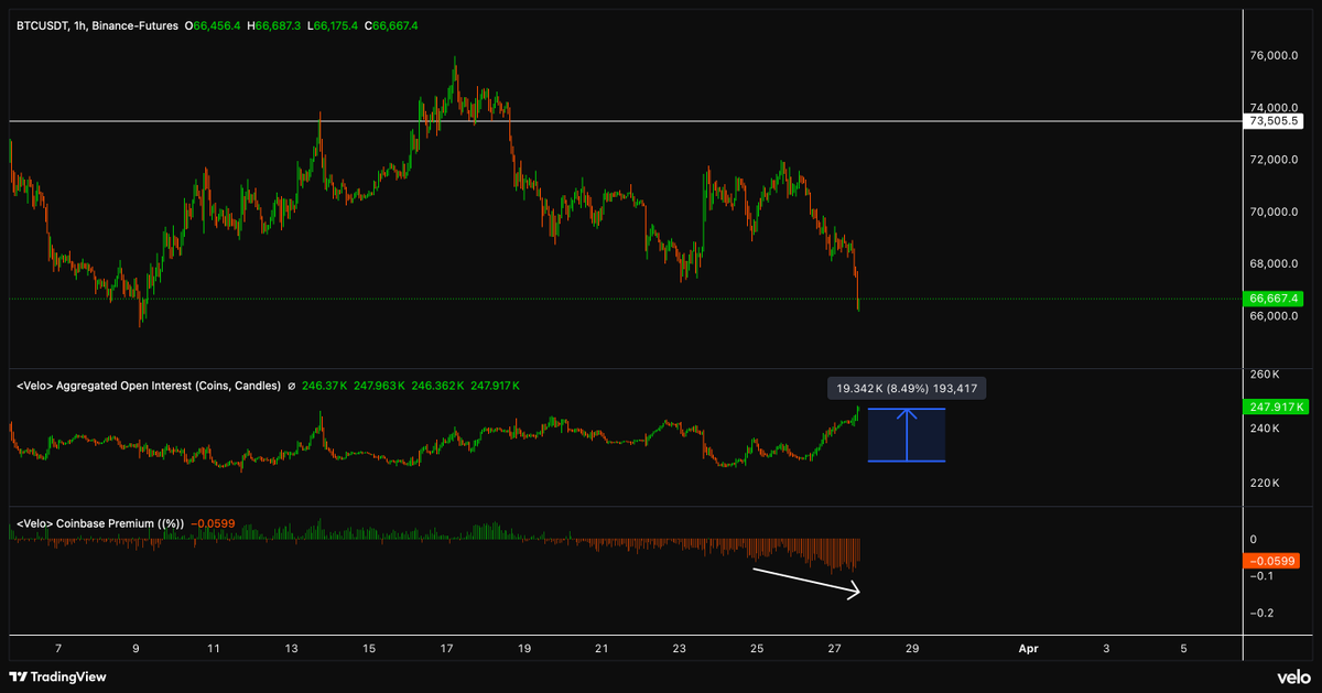 exitpump tweet media