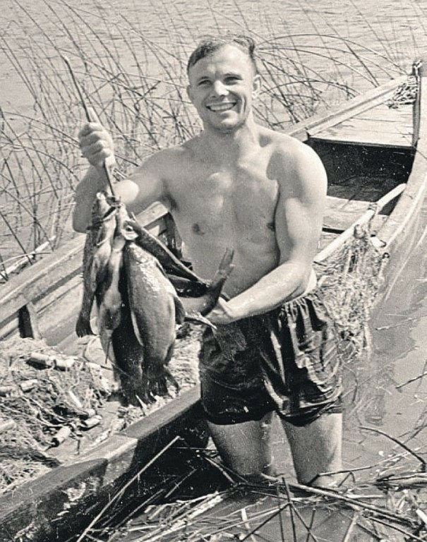 Окно Овертона✯Служу трудовому народу!☭ tweet media