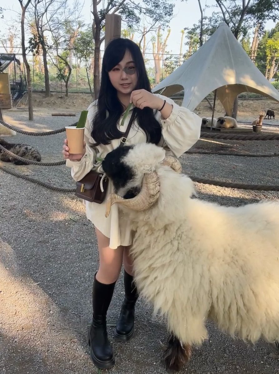 胎記女孩-蘇蘇 tweet media