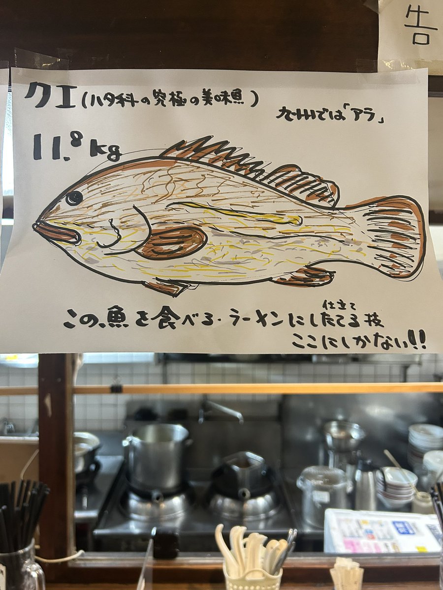 達磨食堂　ラーメンとカレーの二刀流 tweet media