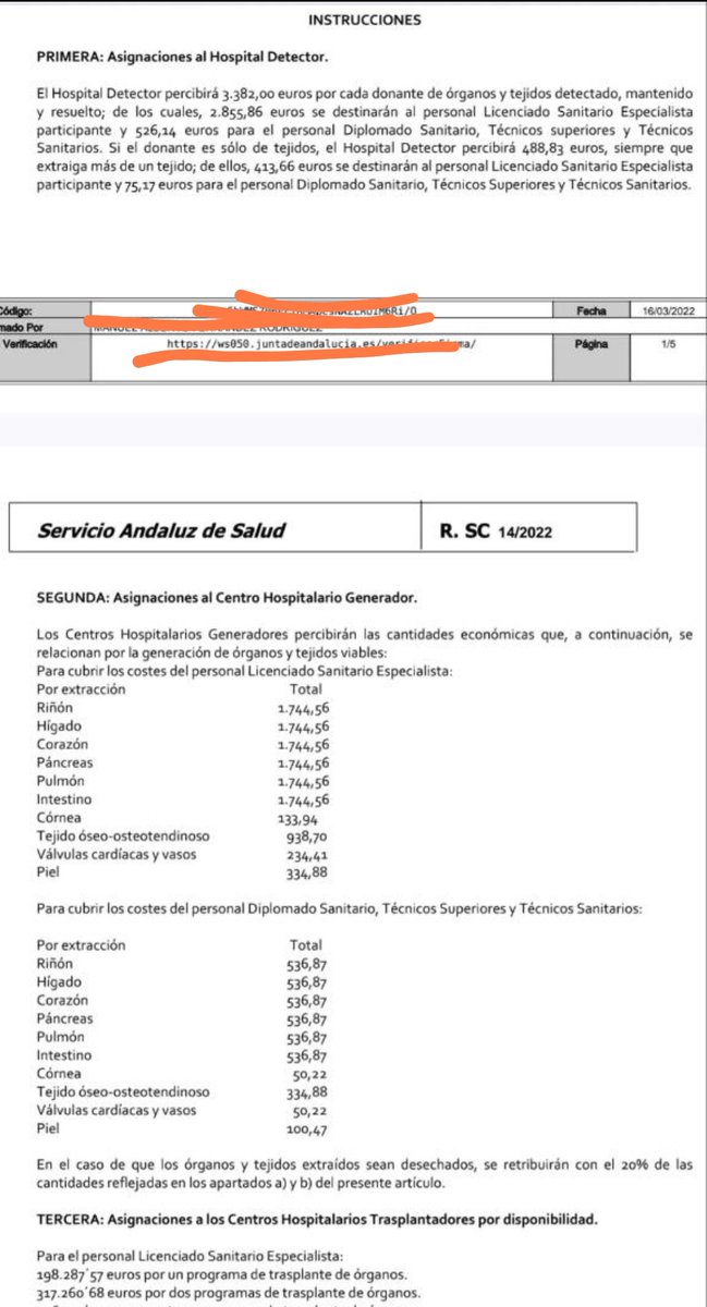 Joe Petoti tweet media