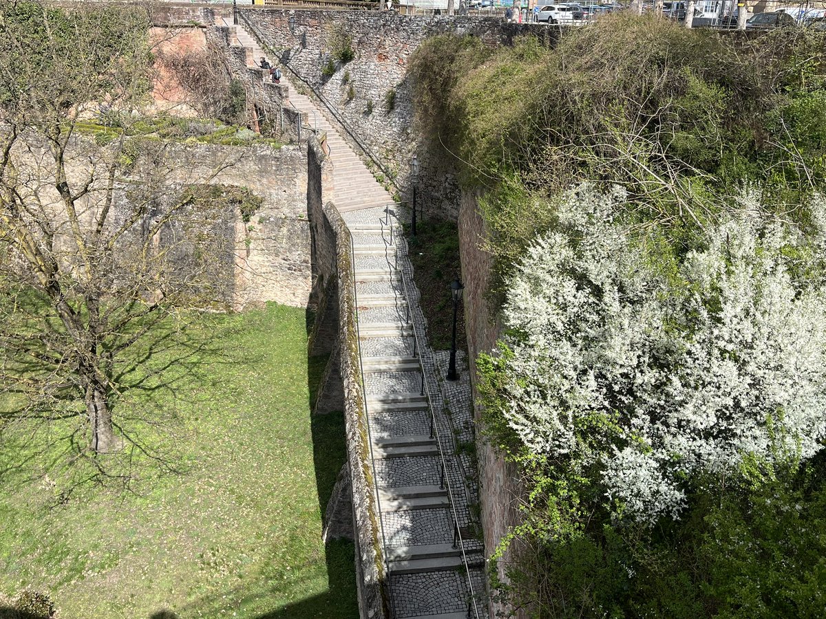 희민이 tweet media