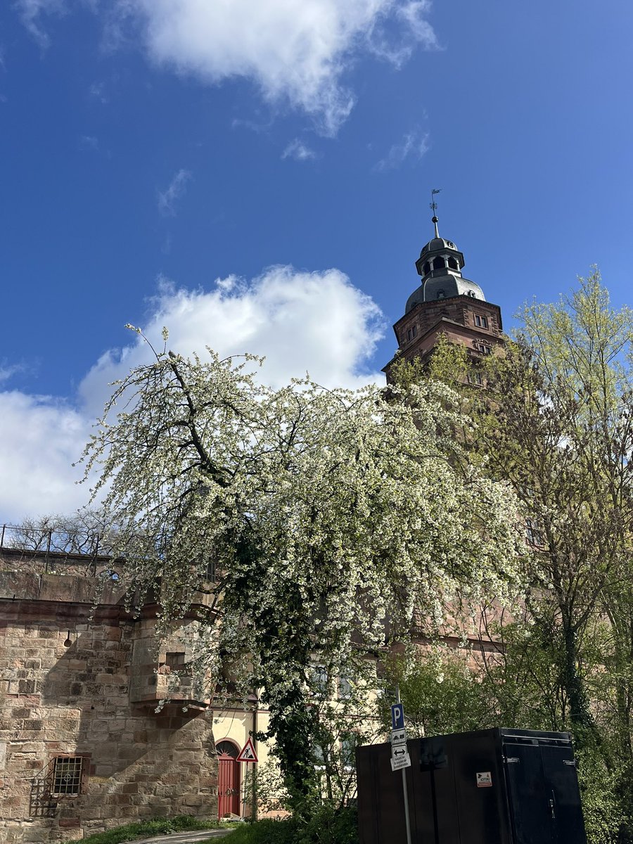 희민이 tweet media