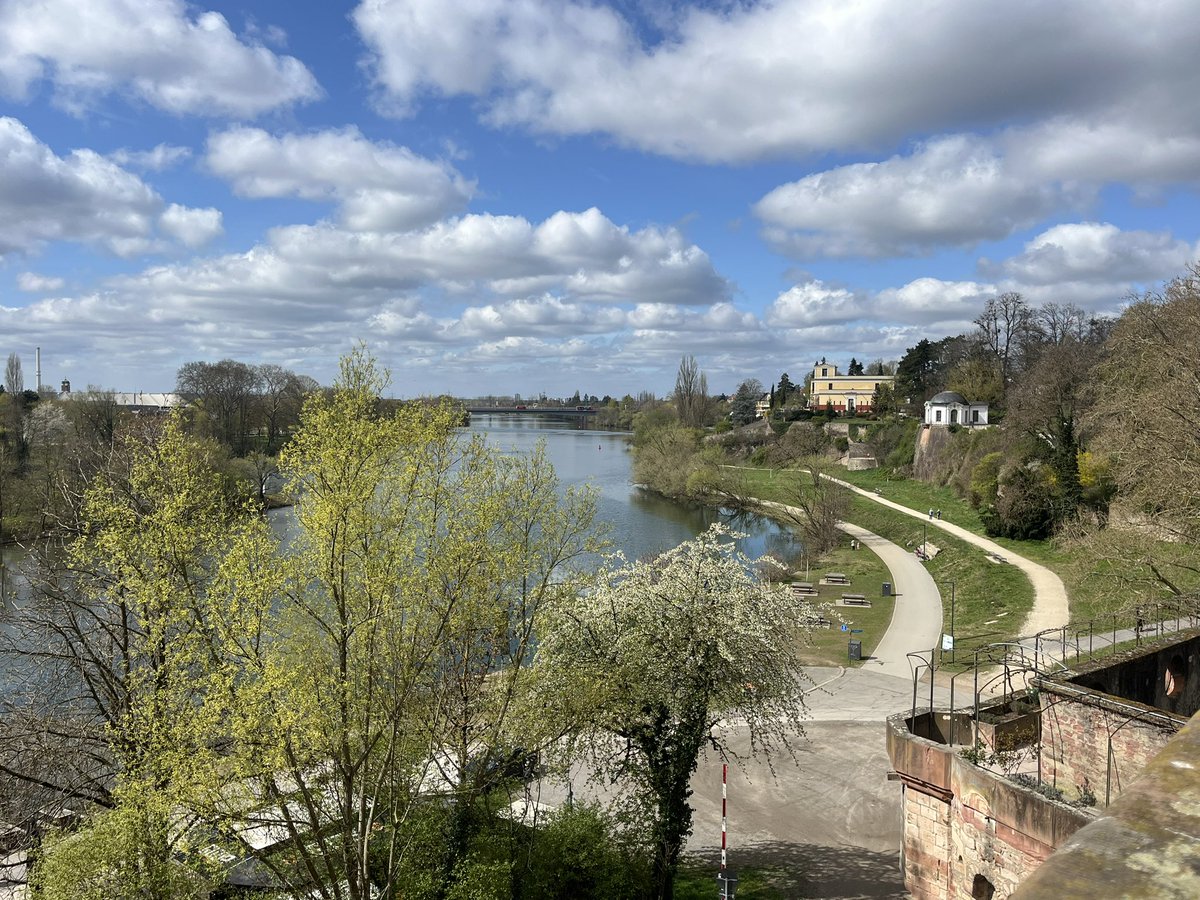 희민이 tweet media