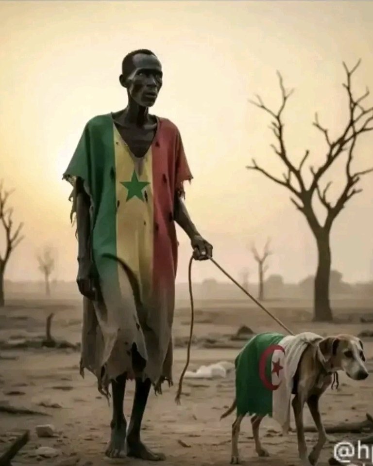 ۞ⵣ la_Marocaine ⵍⴰ_ⵎⴰⵖⵓⴽⴰⵏ ۞ⵣ 🇲🇦 ريفية🇲🇦 tweet media