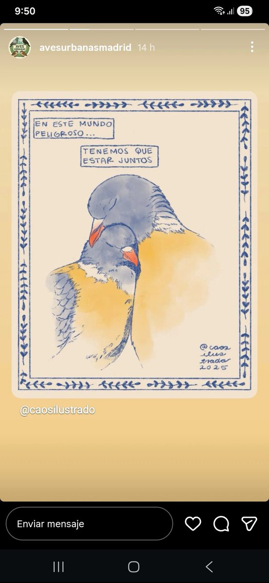 _loruca's tweet photo. #AmigasNOPlaga #PigeonsRescue #Palomas #Empatia #NoSonPlaga🕊️💜 https://t.co/UiI7LZZvVE