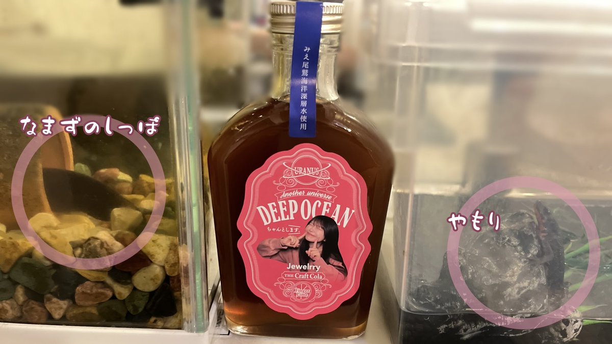 んぼみゆ tweet media