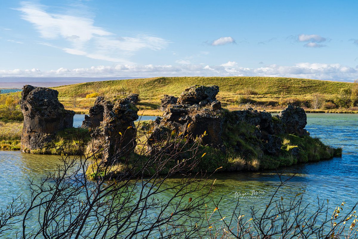 Wayne Moran Photography tweet media