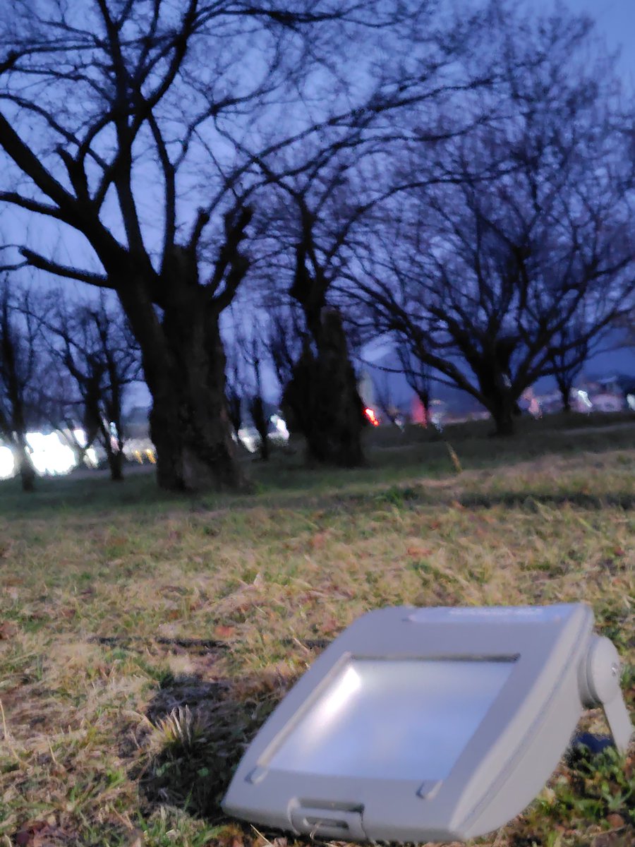 otowahime tweet media