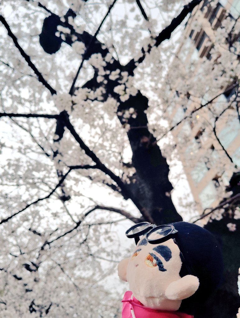 ギチめが🤓5月すパーㇰ tweet media