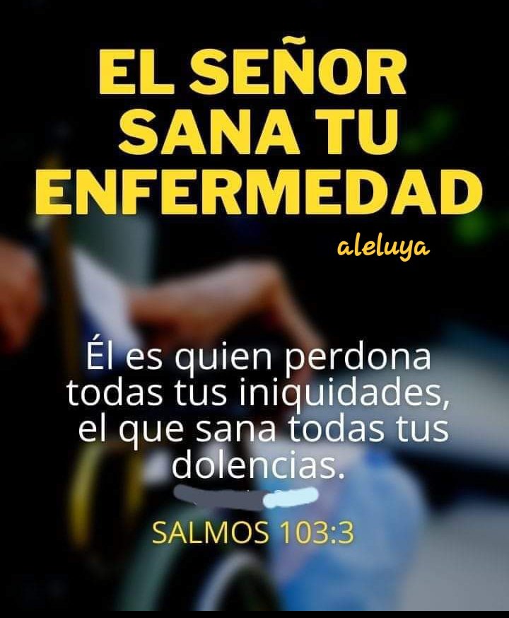 Omar Castañeda tweet media