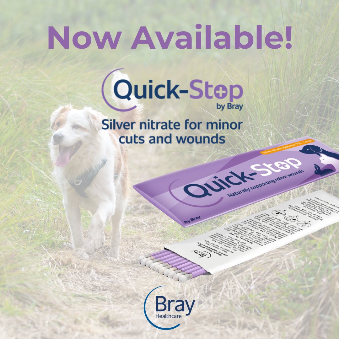 BrayGroupLtd's tweet photo. New product launch: Quick-Stop Wallet Pack.

We recently introduced a new 10-pack wallet format of Quick-Stop silver nitrate large applicators, designed with convenience in mind. The compact design makes it easy to carry and store, making it ideal for pet owners, groomers and professionals who need a practical minor wound care solution at hand.

✔ Compact wallet design perfect for first-aid kits and grooming bags
✔ Portable and ready to use at home or on the go
✔ Ideal to use after nail cutting or for minor cuts and wounds
✔ Simple, safe and effective.

Now available as part of the growing Quick-Stop range.  Shop at https://t.co/oWtyxOL6Fv

#petcareproducts #groomers #veterinary #brayhealthcare