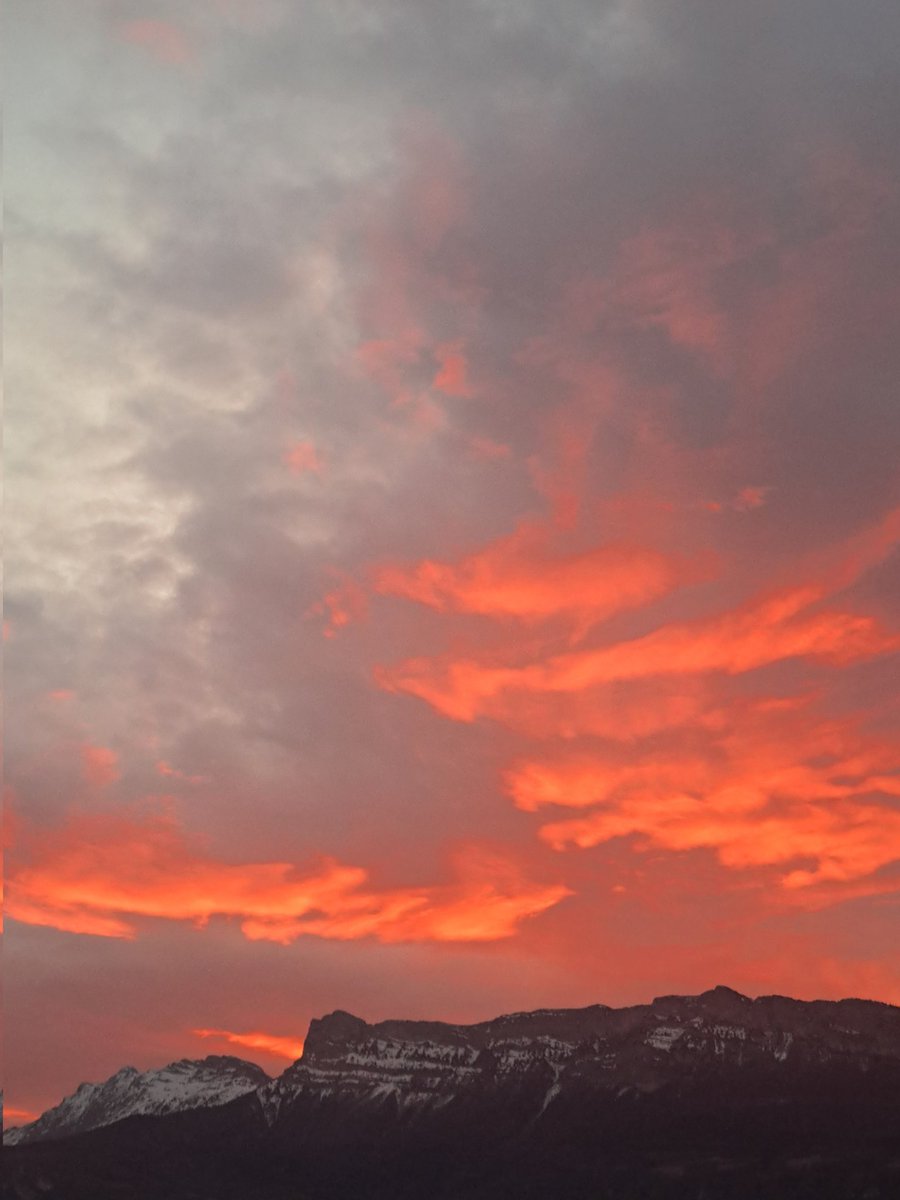 marie bois villard tweet media