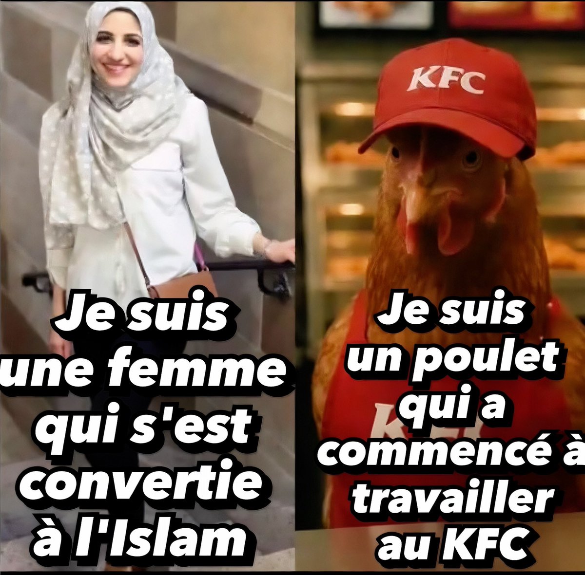 Vivi-Apostat tweet media