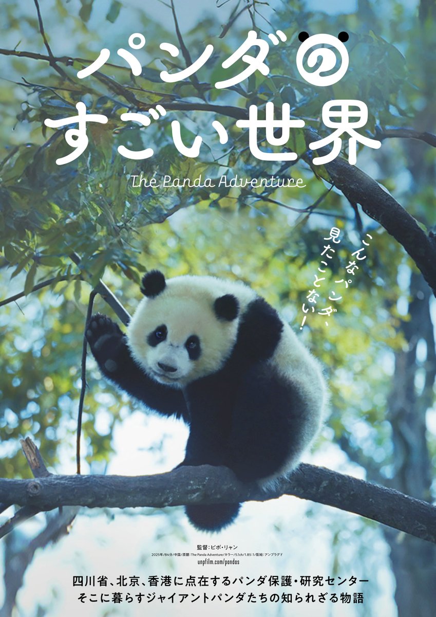 ＼上映決定！／
『パンダのすごい世界』
上映日程：4/11(土)〜4/17(金)
84分間パンダまみれ！🐼
ジャイアントパンダの知られざる物語
<a href="/pandasmoviejp/">映画『パンダのすごい世界』公開中🐼</a>