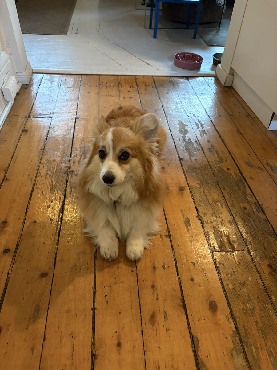 David Riley tweet media