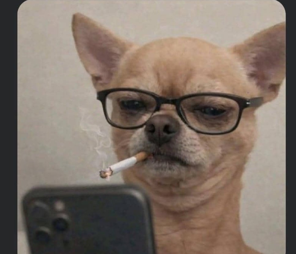 Ebenezer Nkanta tweet media