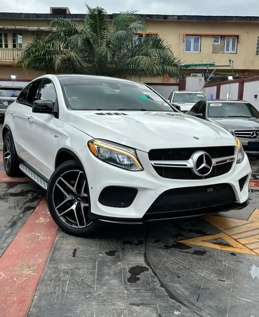 Martins | Film Director tweet media