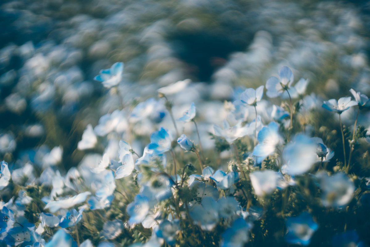 ᴍ ɪ ᴋ ᴜ ☁️ tweet media