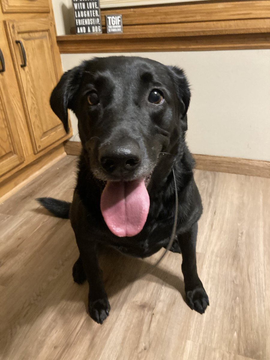 D w/Lily tweet media