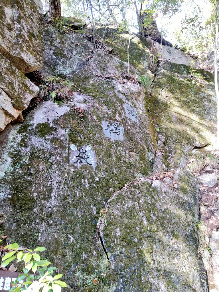 ふじしろ tweet media