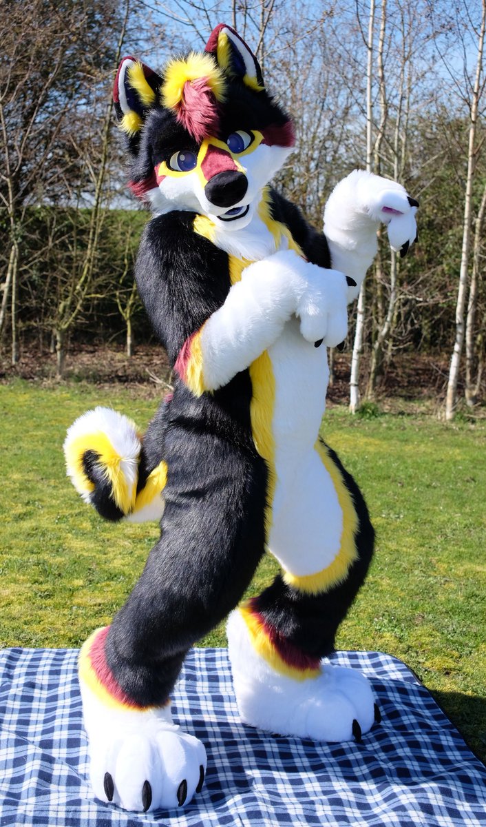 Go Fur It tweet media