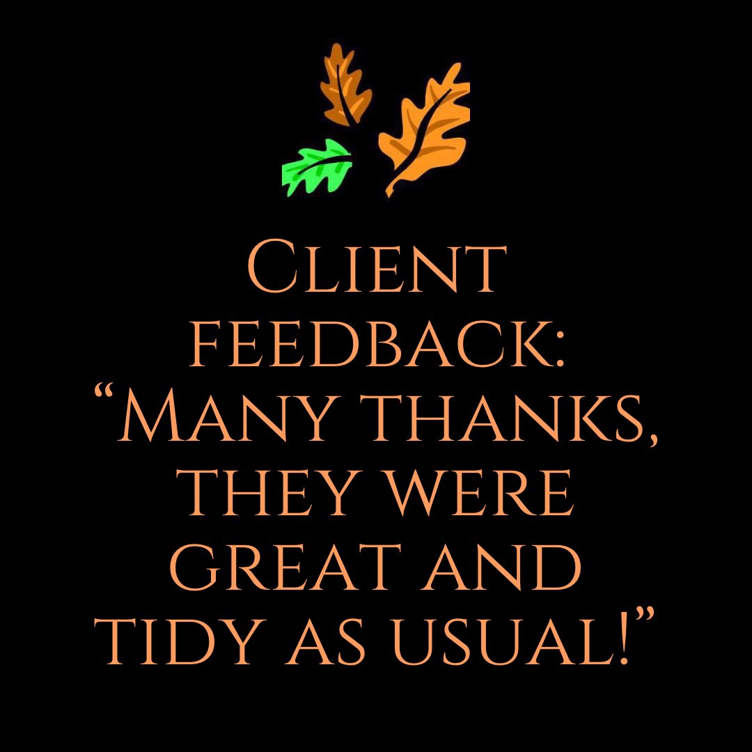 Masons Tree Surgery tweet media