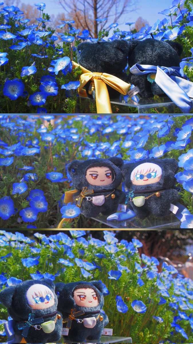 トバリ🧻 tweet media