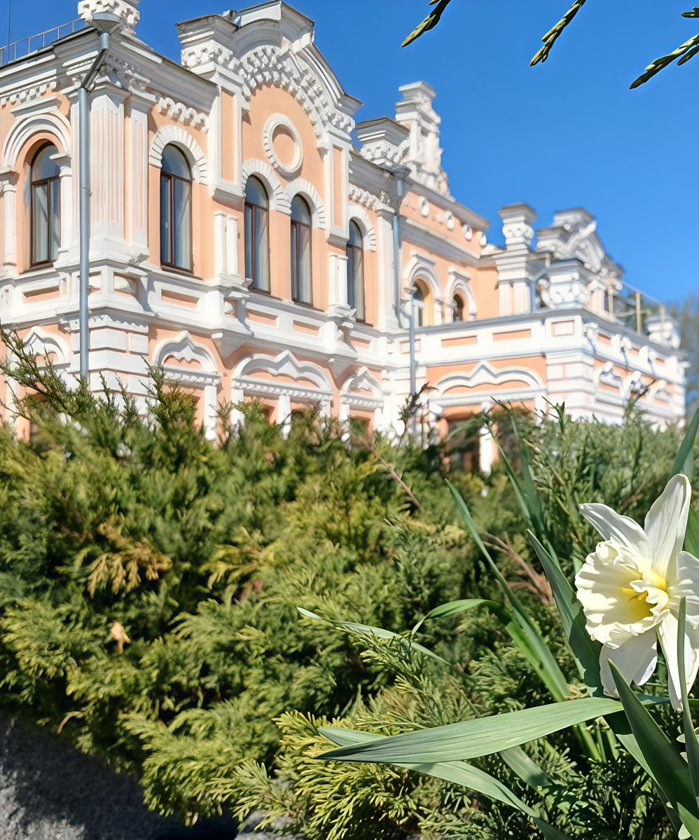 Володимир tweet media