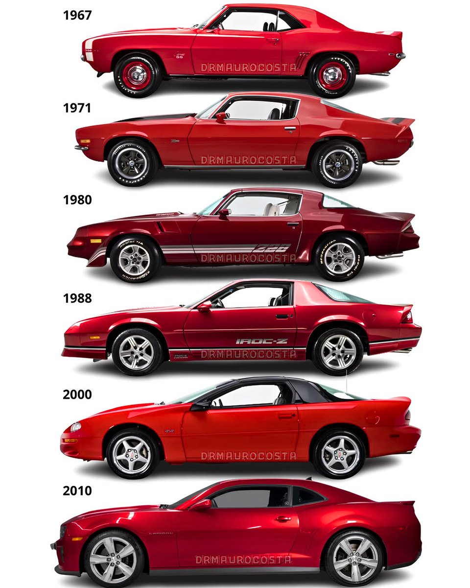 Vintage Cars Collection tweet media