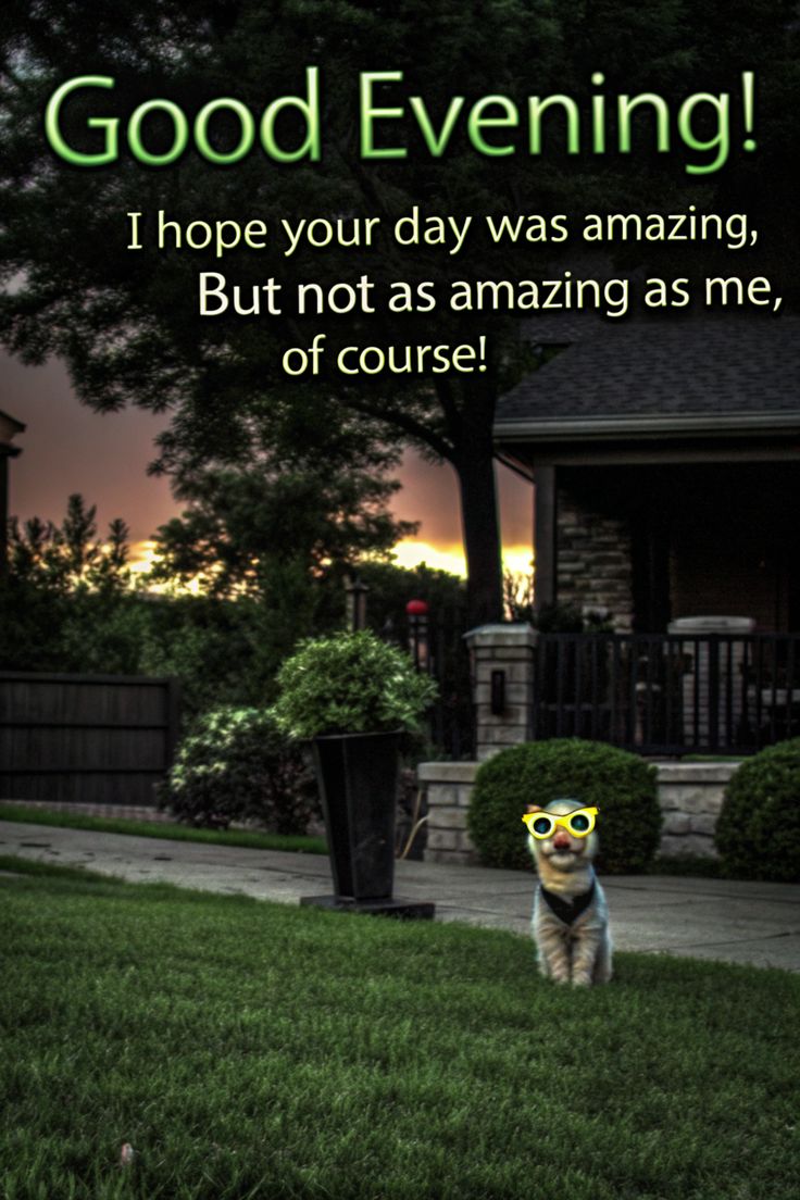 Kalpna Maurya tweet media