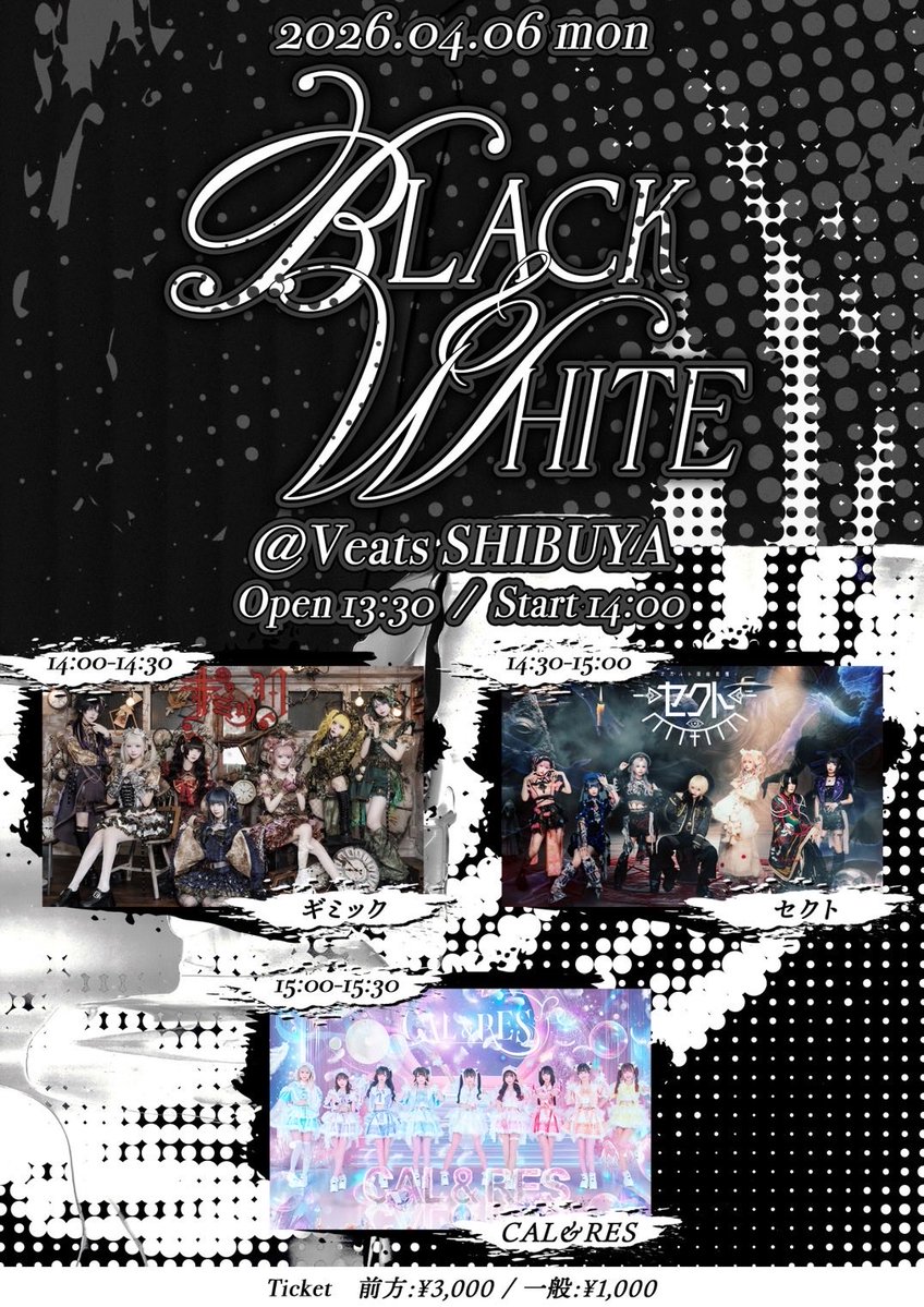 ☯️セクト☯️ tweet media