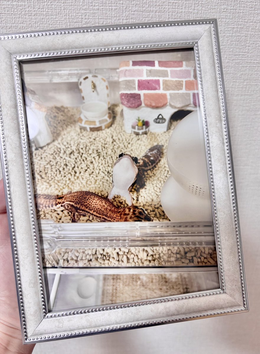 のの💌 tweet media