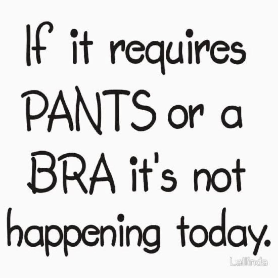 𝙺𝙲 𝙺𝚊𝚝𝚎🦋 tweet media