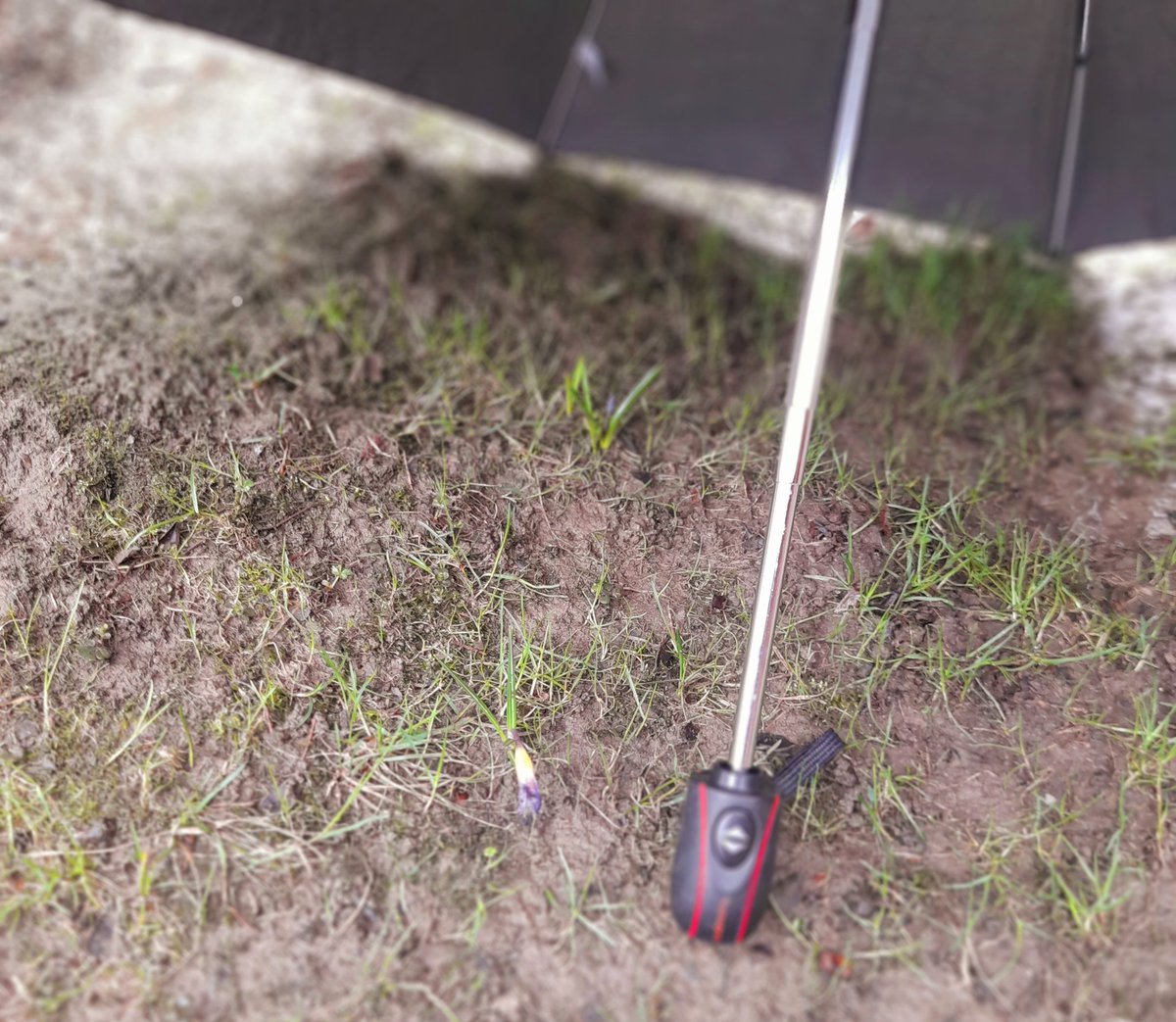 Panna Polly tweet media