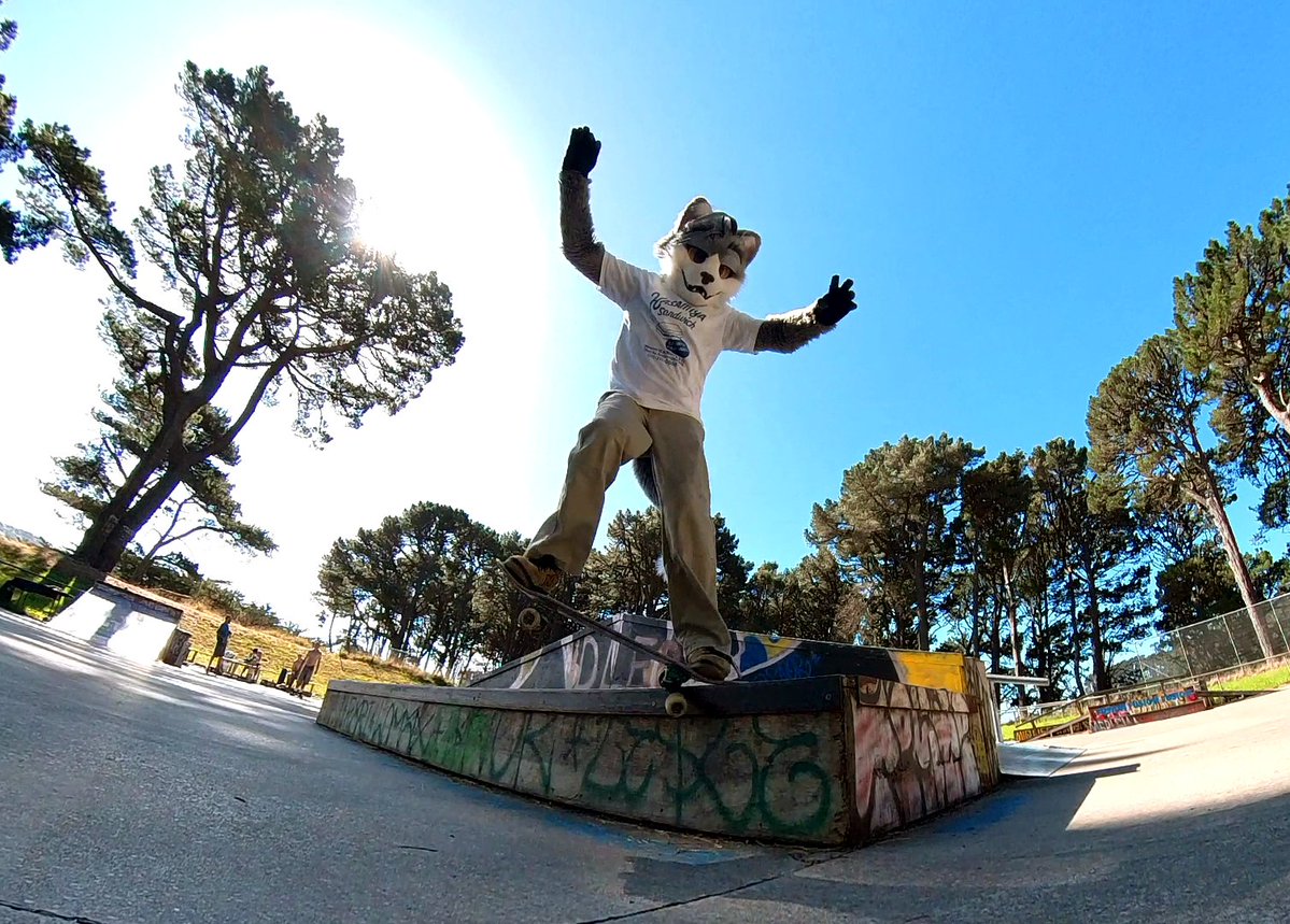 stucat.bsky😹 tweet media