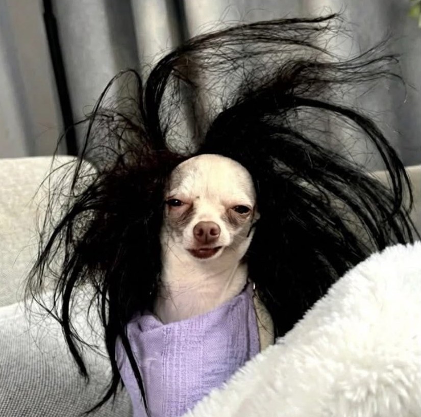 Foli 𝕏❤️ tweet media