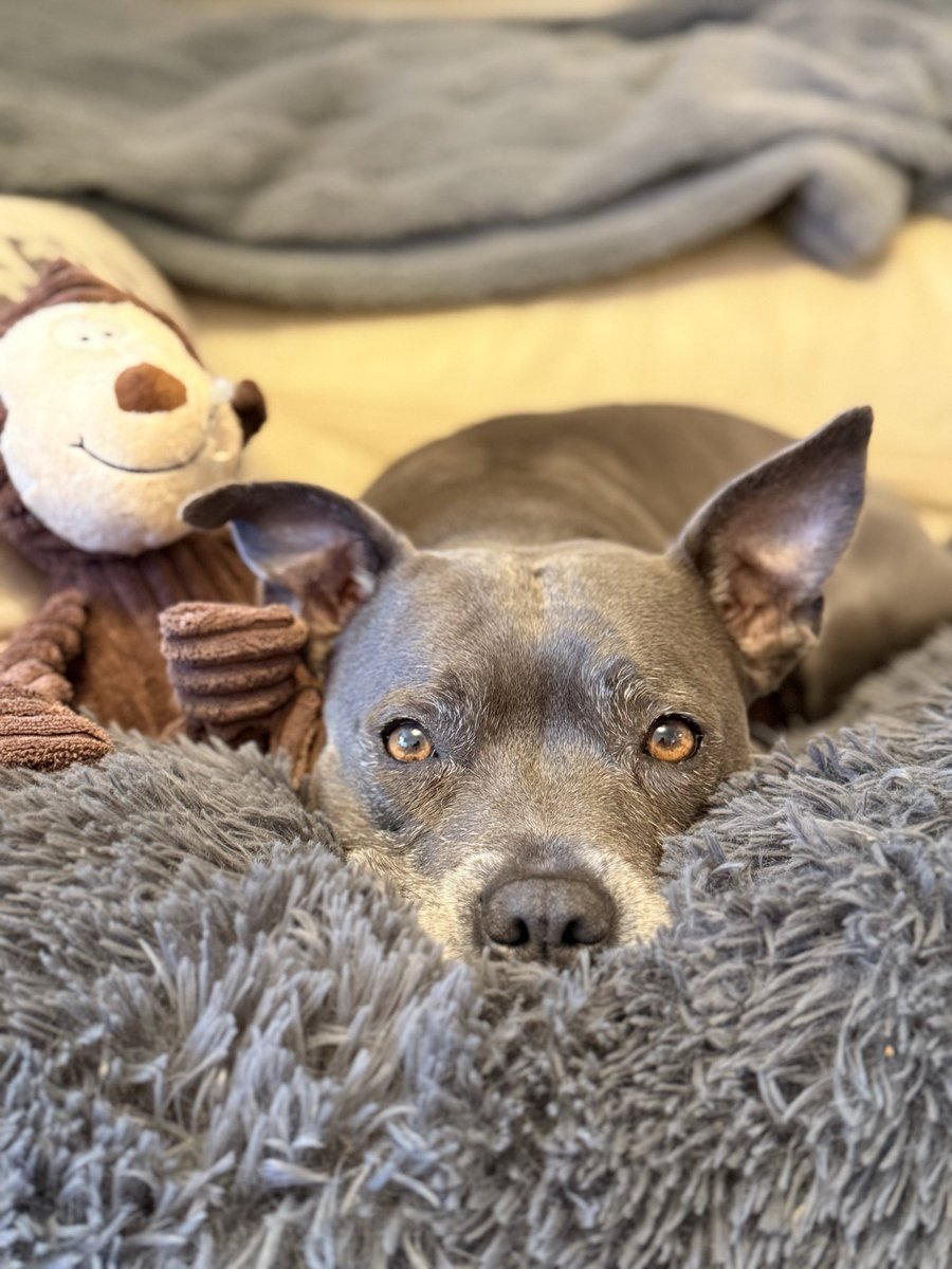 Isa Mary tweet media